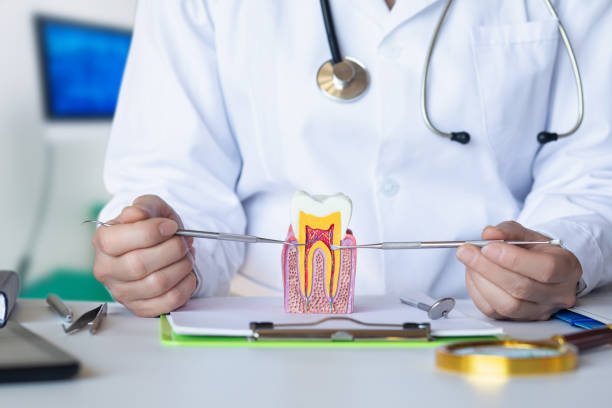 Best Pediatric Emergency Dentist in Harwood Heights, IL